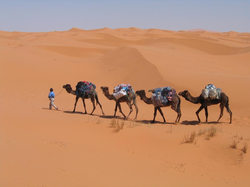 Camel Trek Bivouac Hotel Merzouga Ruang foto