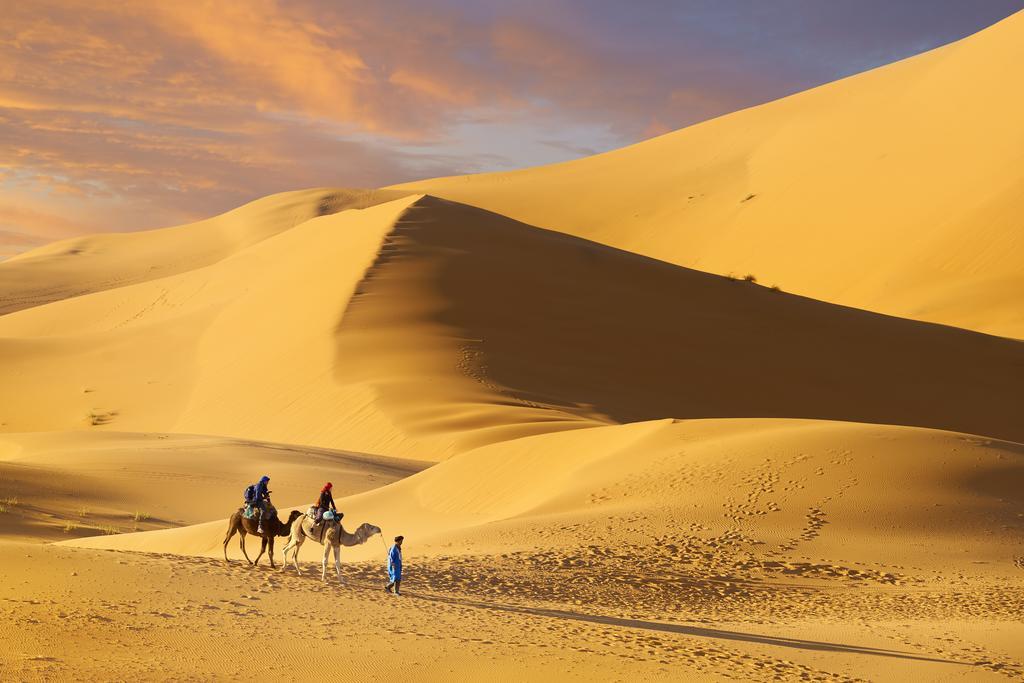 Camel Trek Bivouac Hotel Merzouga Ruang foto